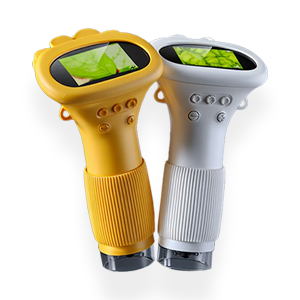 Despertando Sentidos